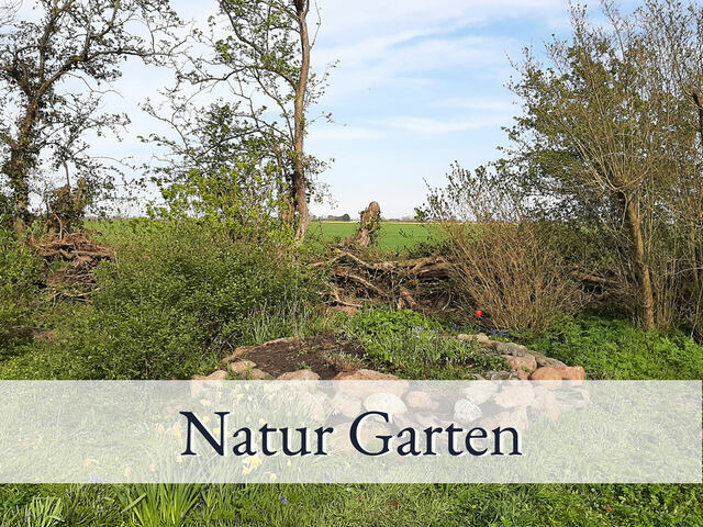 Ferienwohnung in Fehmarn OT Sulsdorf - Hirschfeld Hus Whg 1 - Bild 15