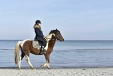 Ferienwohnung in Timmendorfer Strand - Urlaubsfeeling in der Captains Suite App. 18 - Bild 19