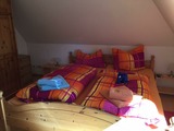 Ferienwohnung in Prerow - Ferienwohnung Eichenpark 1.4 - Bild 14