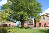 Ferienwohnung in Gelting - Janbecks FAIRhaus - Ferienwohnung Bauernstube - Bild 15