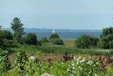 Ferienwohnung in Gelting-Niesgrau - Ferienwohnung Hafenblick Ferienhof Geltinger Bucht - Bild 18