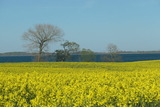 Ferienwohnung in Gelting-Niesgrau - Ferienwohnung Hafenblick Ferienhof Geltinger Bucht - Bild 20