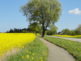 Ferienwohnung in Gelting-Niesgrau - Ferienwohnung Hafenblick Ferienhof Geltinger Bucht - Bild 22