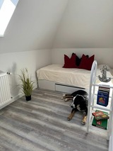 Ferienwohnung in Ostseeheilbad Zingst - Ankerplatz - Whg. 14 - Bild 14