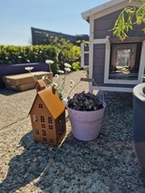 Ferienwohnung in Fehmarn OT Burg - Haus Albertsdorf am Dorfteich | Wohnung 3 Nord - Bild 12