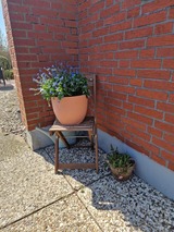 Ferienwohnung in Fehmarn OT Burg - Haus Albertsdorf am Dorfteich | Wohnung 3 Nord - Bild 19