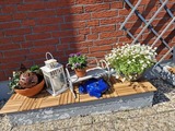 Ferienwohnung in Fehmarn OT Burg - Haus Albertsdorf am Dorfteich | Wohnung 3 Nord - Bild 22