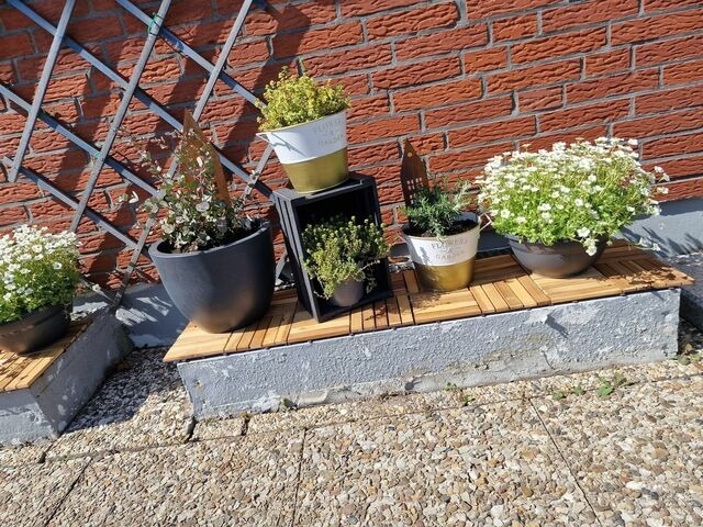 Ferienwohnung in Fehmarn OT Burg - Haus Albertsdorf am Dorfteich | Wohnung 3 Nord - Bild 23