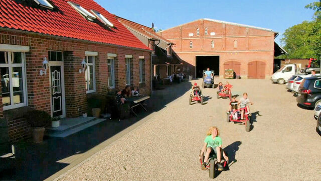 Ferienhaus in Fehmarn - Sonnenblume - Bild 14