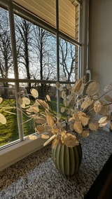 Ferienhaus in Rabenkirchen-Faulück - Ferienhaus Ute - Bild 6