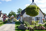 Ferienhaus in Glowe - Ferienhaus Poolhaus - Bild 4