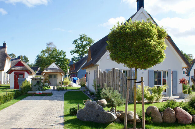 Ferienhaus in Glowe - Ferienhaus Poolhaus - Bild 4