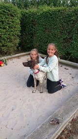 Ferienwohnung in Fehmarn OT Schlagsdorf - FeWo Nr. 1 - 4-Personen - Bild 22