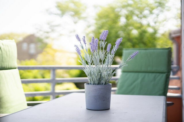 Ferienwohnung in Fehmarn OT Strukkamp - Strukkamp 4b Lieblingsort - Bild 11