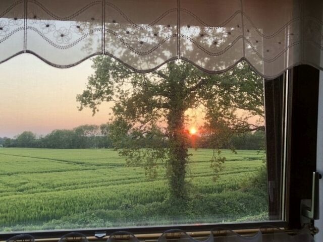 Ferienwohnung in Kappeln OT Mehlby - Ferienwohnung Stock - Bild 16