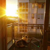 Ferienhaus in Gro&szlig;enbrode - Strandperle 8 - Gro&szlig;enbrode - Bild 1