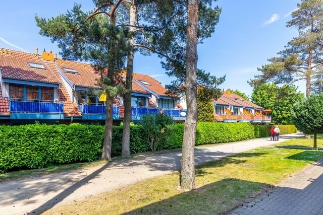 Ferienwohnung in Boltenhagen - Papillon 16-2 Wohnung "M&ouml;we" - Bild 5